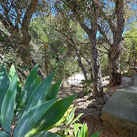 Quinta Do Rosal